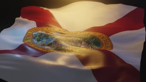 Florida State Flag Waving with Realistic Fabric Animation