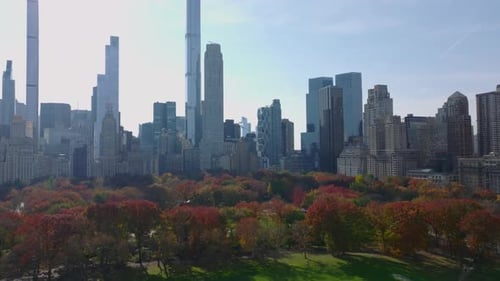 Lawn and Autumn Colourful Trees in Central Park