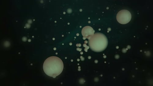 Abstract Fluid Organic Spheres Background Animation