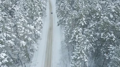 Car Driving on Snow Road Through Winter Forest Aerial View