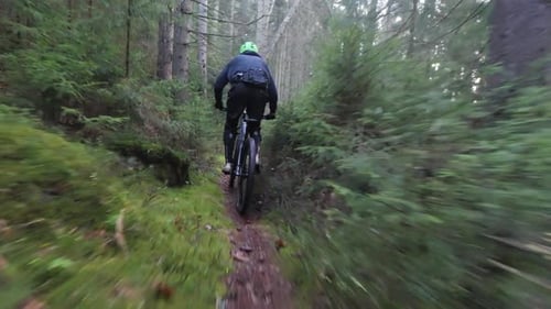 Slow Motion of Mountain Biker Riding Bycicle in a Natural Forest Path, Tracking Action Shot