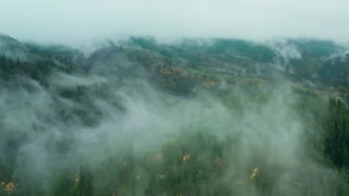 Mountains Rain Forest Weather Clouds Aerial Tree Autumn