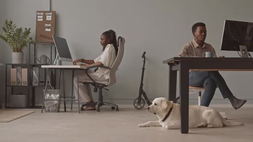 Bureau acceptant les animaux