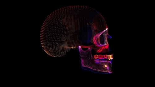 Neon Skull VJ - Rotación