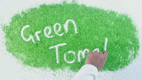Green Writing Green Tomato 2 Kpr29fps