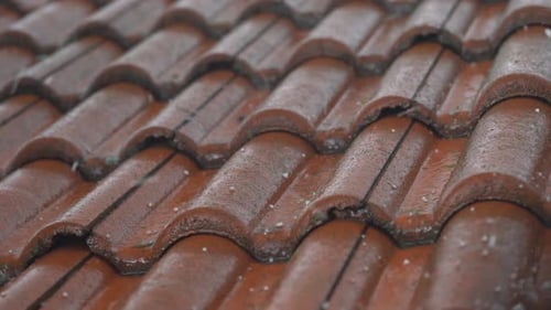 Hail Damage