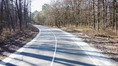 Estrada aérea rural na floresta à noite no crepúsculo