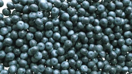 Blueberries Flowing in a Delicious Cascade