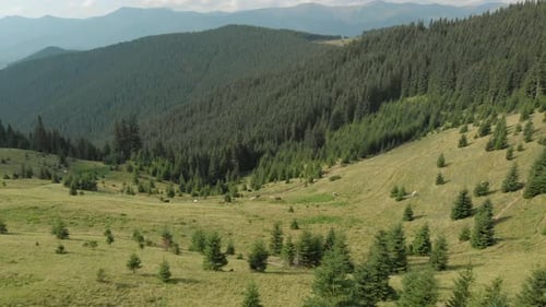 Paysage de campagne pittoresque