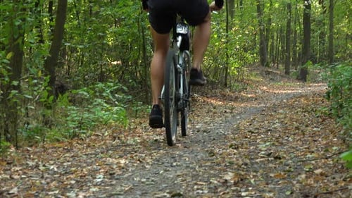 A Cyclist Rides Down a Path Through a Forest - Rear View