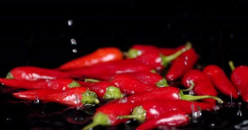 Fresh Red Chili Peppers with Water Droplets