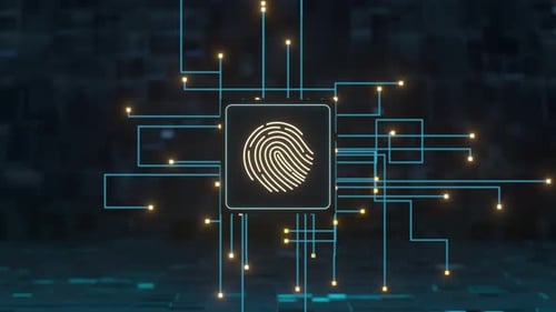 Líneas de circuito y chip con fondo negro
