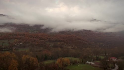Aerial view of cloudy landscape with many colorful trees.