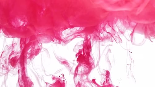 Vibrant Pink Ink Swirling in Water