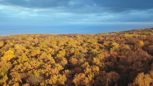 Autumn Sea Nature