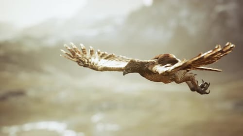Extreme Zeitlupenaufnahme von Eagle