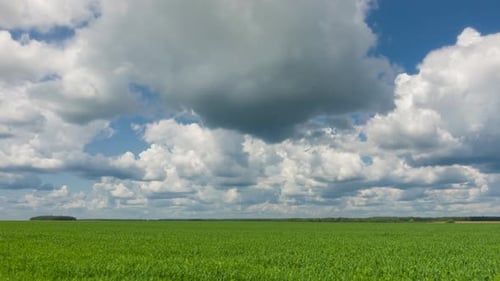 Beautiful Agriculture Field, Qualitative Time Lapse, No Flicker