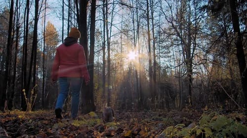 Owner Walks Dog in Forest at Sunset
