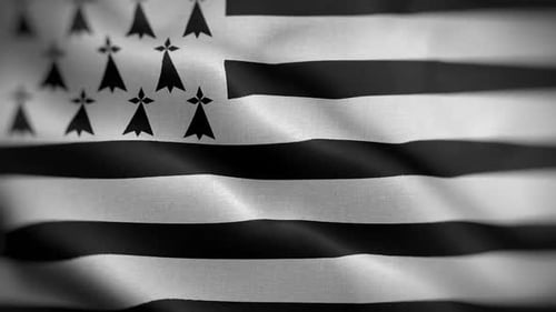 Black and White Striped Waving Flag with Ermine Spots