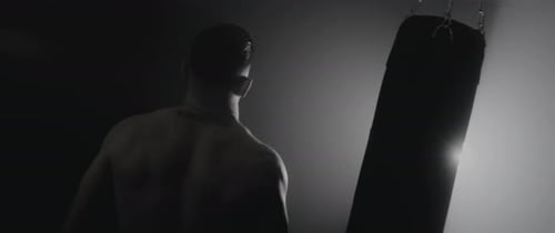 Boxer