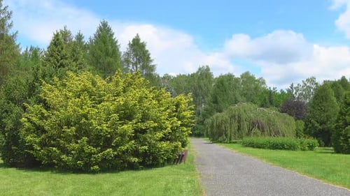 Park