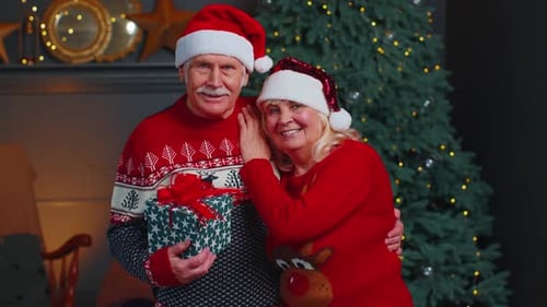 Loving Senior Couple with Christmas Gift by Tree