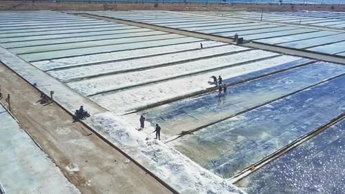 Workers Harvesting Salt at Rural Outdoor Farm
