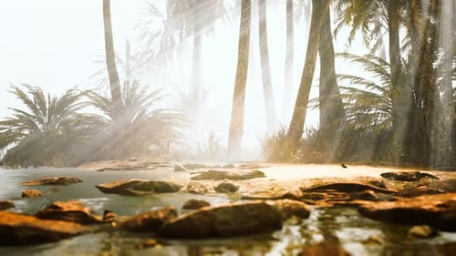 Serene Tropical Oasis with Sunbeams and Mist