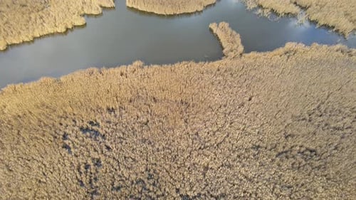 lake and reeds in autumn, Igneada, Turkey