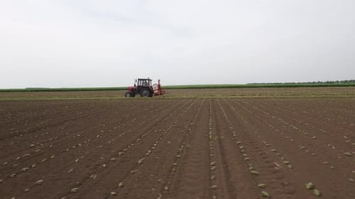 Tractor Works on Agricultural Field