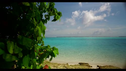 Aerial above tourism of luxury seashore beach adventure by turquoise sea and white sandy background