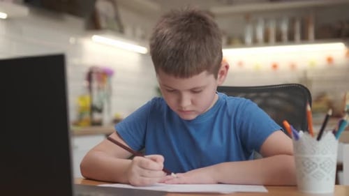 Focused Boy Uses Laptop and Pencil to Draw