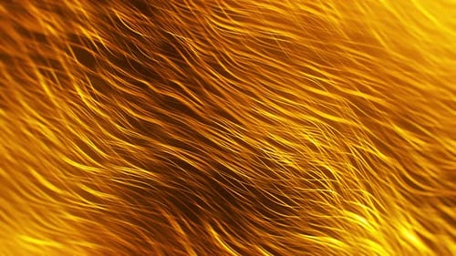 Abstract Flowing Golden Lines Background Animation Loop