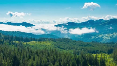 Misty Morning in the Mountains