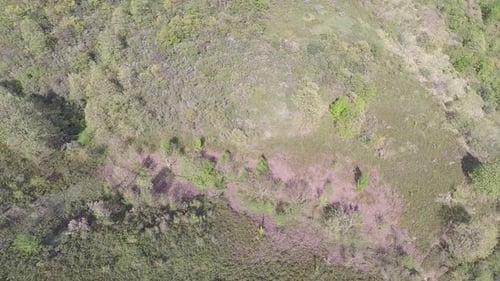 Drone aérien Grassland