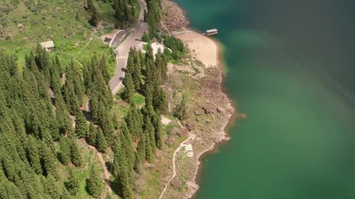Green trees and the lake