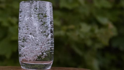 Bubbles in a Glass with Plant Background