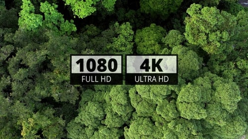 AH - Forest River 04