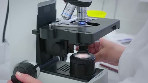 Scientist Using Microscope in Bright Modern Laboratory