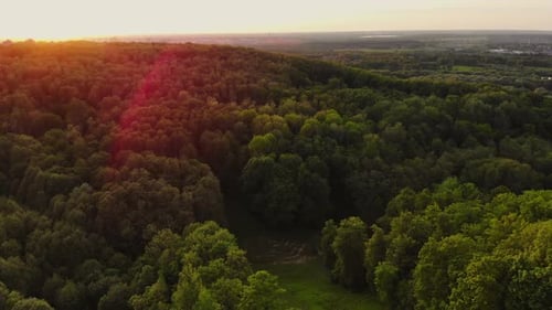 Aerial at Dawn Green Hills with Trees and Grass
