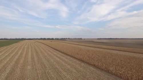 Traktoren auf dem Erntefeld