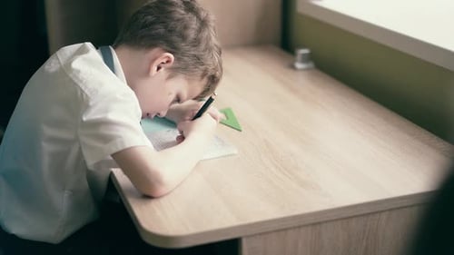 CU Boy Do School Homework Writes a Ballpoint Pen in a Notebook