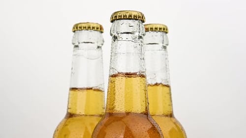 Refreshing Beer Bottles with Condensation, Close Up Studio Shot