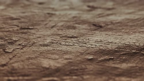 Closeup of Dirty Ground Road