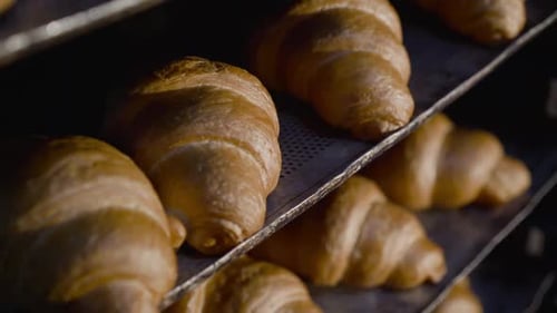 Close View of Plates with Baked Croissants in a Bakery