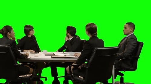 Professionals Meeting at Conference Table, Green Screen