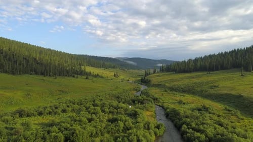 Over Forest Valley with River