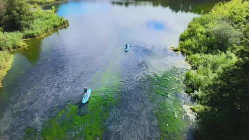 Man is kneeling on paddle board. Woman is actively rowing. Water sport on river