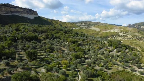 Land des Olivenöls