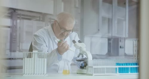 Microbiology Laboratory: Scientist Works with Various Bacteria. Concept of Pharmaceutical Research